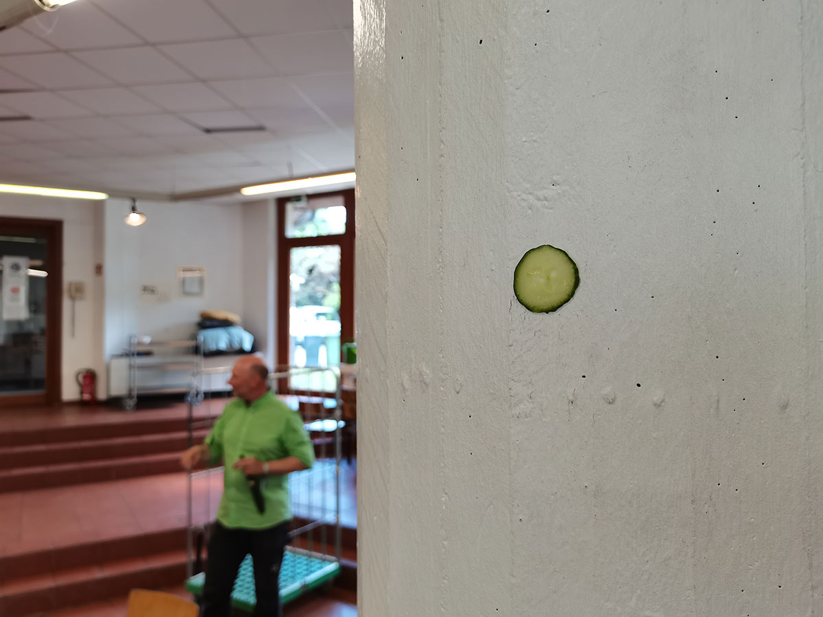 Zufallsbild